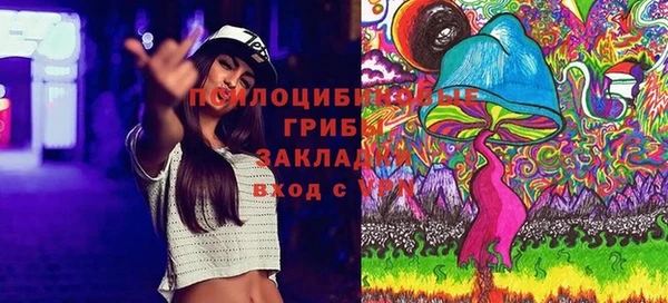 метадон Новодвинск