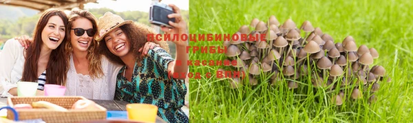 метадон Новодвинск