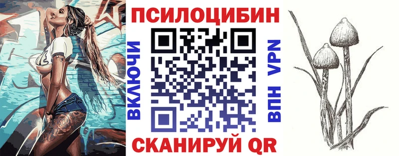 Галлюциногенные грибы MAGIC MUSHROOMS  где продают   Нестеровская 